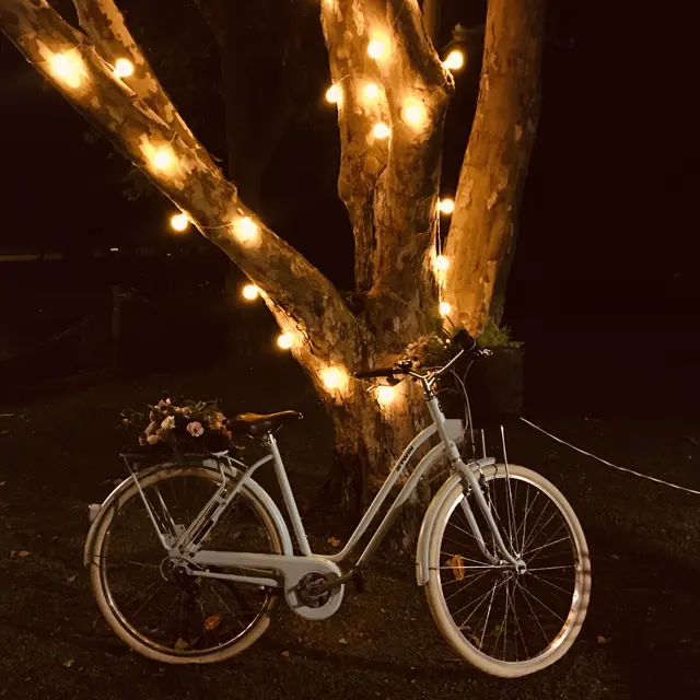 Bicicleta decorada com flores sob luzes decorativas na chácara